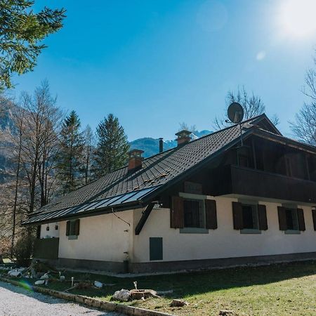 Tuba Apartments ボーヒニ エクステリア 写真